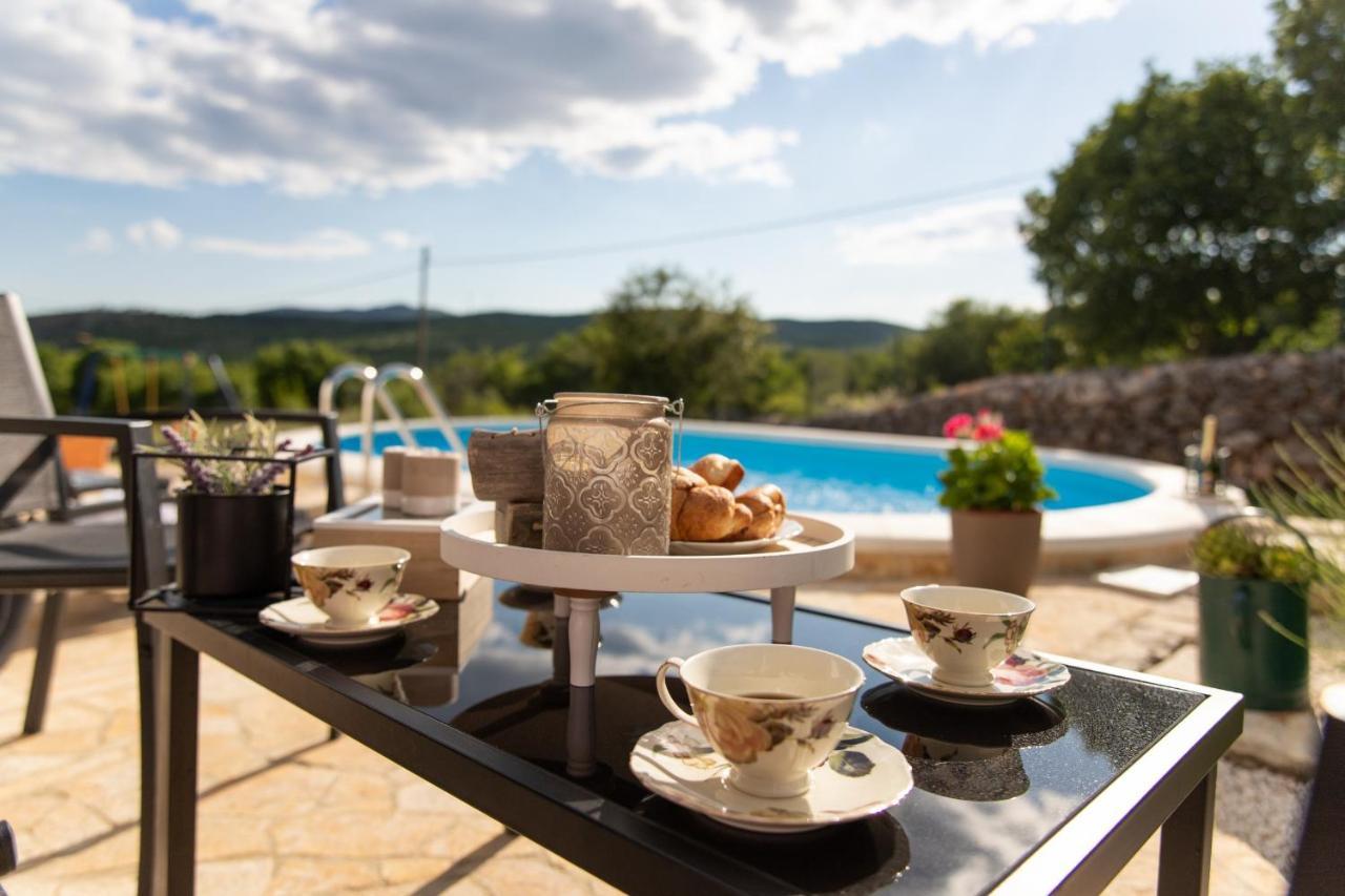 Holiday Home Sego With Private Pool Veliki Brocanac Buitenkant foto