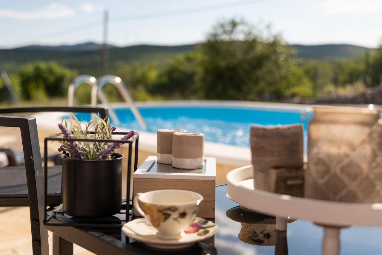 Holiday Home Sego With Private Pool Veliki Brocanac Buitenkant foto
